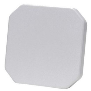 Zebra sapphire glass platter MISC-SG0072 edge angle shot