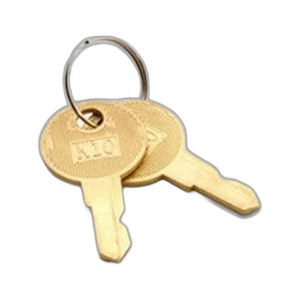 Custom America POS Set of 2 replacement keys - 4B00000010450