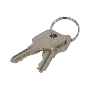 Custom America POS Spare Keys #11 FOR ION Slide