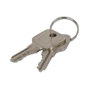 Custom America POS Spare Keys #17 FOR ION Slide - 4B00000011