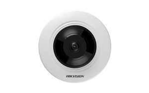 Hikvision DS-2CD2955FWD-IS