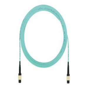 Panduit FRZTP77Y001F046 46 ft Fiber Trunk