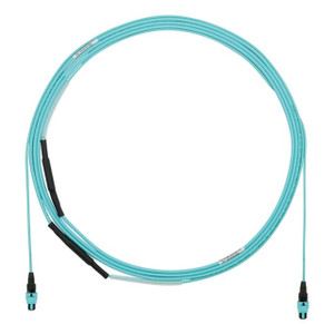 Panduit OM412-FI Indtrnk Fepob A 100FT PK1 - FYZTP77Y005F100