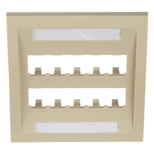 Panduit CFPE10EI-2GY 10-Port Executive Faceplate