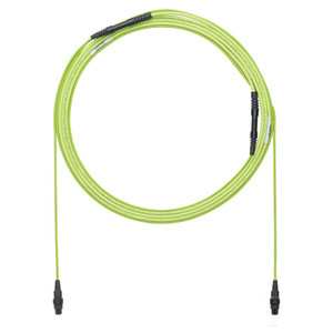 Panduit FWTYL7575KNM050 OM5 12F Trunk 50m LSZH