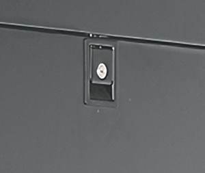 NVSPLOCK-010