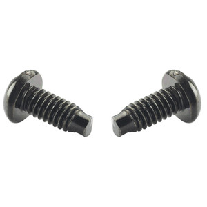 Panduit SCREWM6-C M6 Rack Mount Screws 100pk