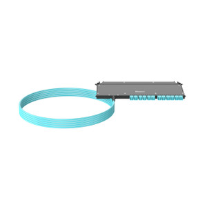 Panduit FZUYPXLNNNNF300 OM4 24-FBR PUM Front ACC Tetherea