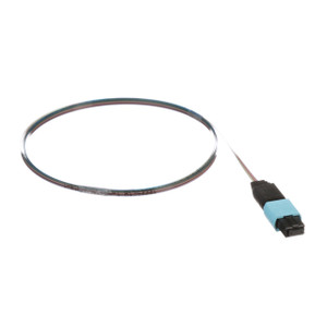 Panduit OM4 12F RIB Assbly MPO FEM TO PEA