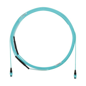 Panduit FYZTPLLO006F060 OM4 Fiber Patch Cable