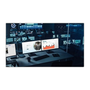 Pelco CVA-BAS1-01C1Y Calipsa Basic Analytics 1-Cam