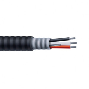 Pelco EXPRO1CABLARM41 4m Armored Cable