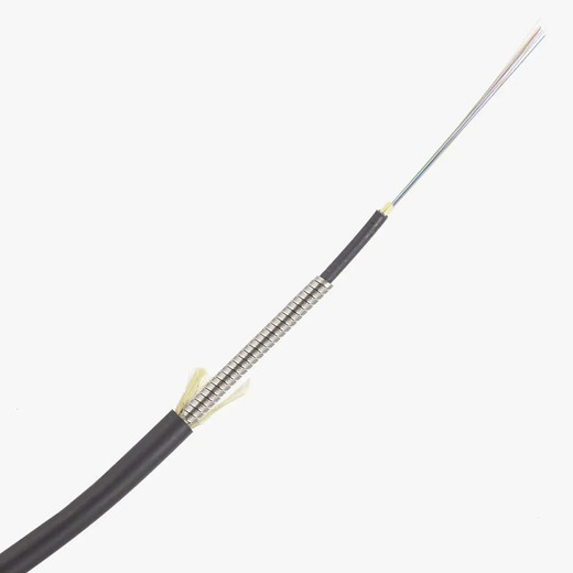 Panduit OM3 12F INDOOR-OUTDOOR ARMORED - FOLPX12