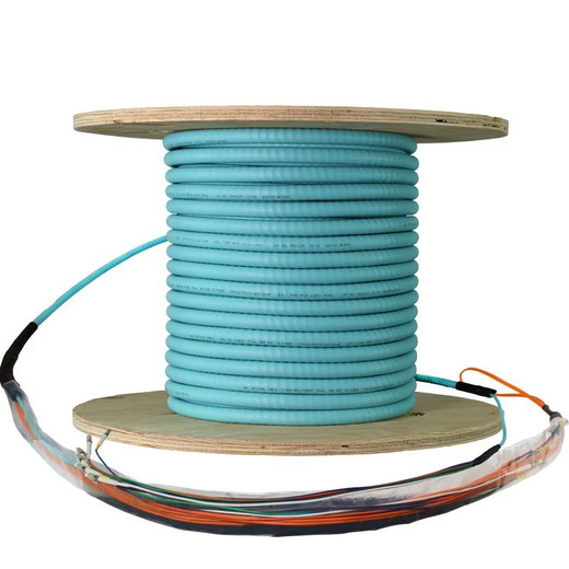Panduit 50UM OM4 6 FB IAC PLEN 900UM BF FB PK 1 - FOPPZ06Y