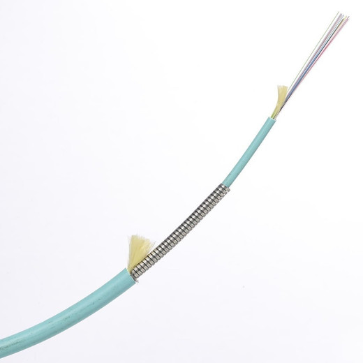 Panduit OM3 24F OSP CABLE ARMORED 250 - FOWNX24