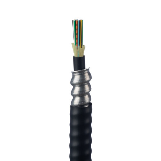 Panduit SINGLEMODE 12-FBR IC PLEN PANMP O FEM POLB 43FT PK 1 - FR9TP77B001F043