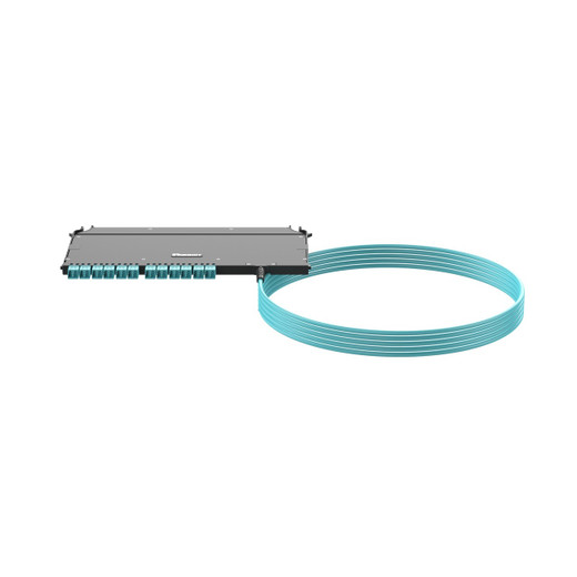 Panduit OM4 24-F INTERC PLENUM PLRTY B - FRZUP88Y002F032