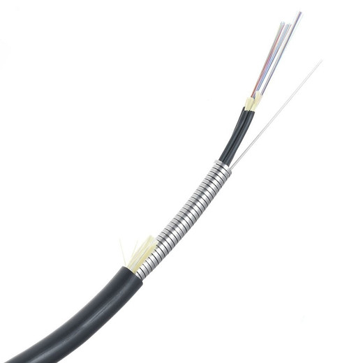 Panduit OS2 144F I/O ARMORED CABLE PLEN - FSMP91AY