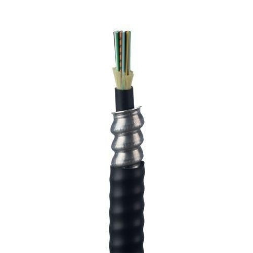 Panduit 1PK 6FIBER INDOOR ARMORED CABLE - FSPR906Y