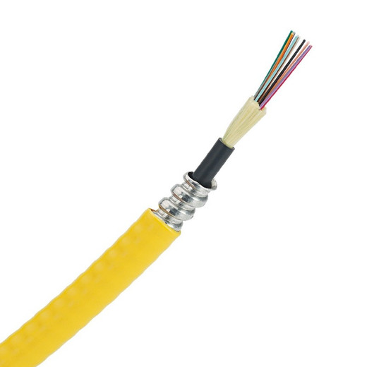 Panduit 9UM OS2 24FB INDOOR ARMORED CB - FSPR924Y