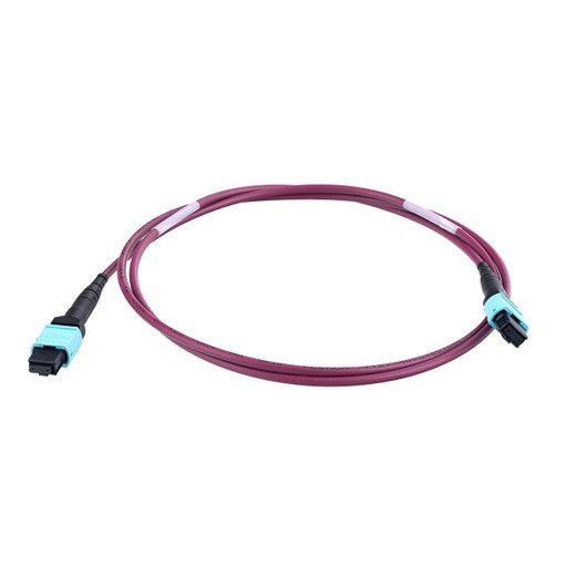Panduit 74M 12FB OM4 INSMDIAMTR PLENUM74 - FYZTP77Y006F074