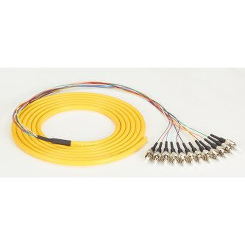 Black Box ONE END Gets Spliced TO THE Trunk - FOPT50S1-ST-12YL-3
