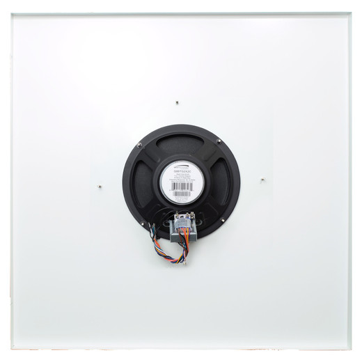 Speco Technologies G86TG2X2C - Speco Technologies G86TG2X2C 2'x2' Ceiling Tile Speaker (view 4)