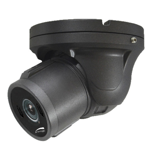 Speco HTINT60TM 2MP HD-TVI Vandal Turret Camera