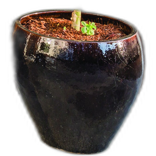 ELK Products ELK-6023 ELK Security Accessory