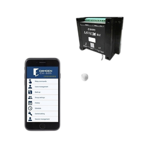 Camden 2 Button 433 Mhz. key fob for MProx-BLE