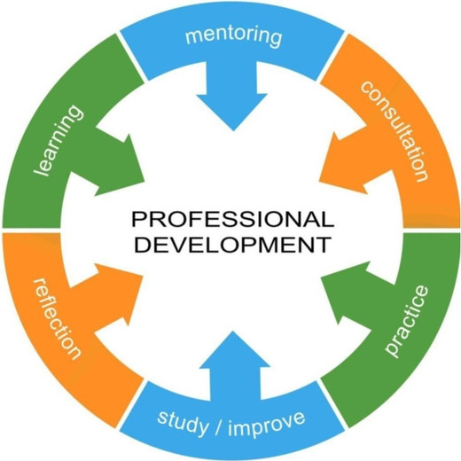 ACTi Professional Development Instructional - CTI-SRVCS-PDPP-86