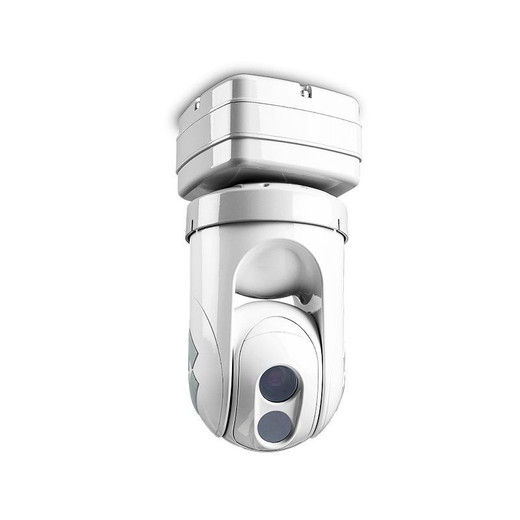 FLIR D-313 C - 35MM Ntsc UP - 427-9031-07-00