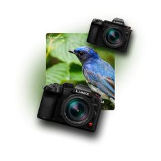 Panasonic PLM12MP019/10 1/3" Sunny M12-Mount Megapixel Lens, 1.95mm, F2.2 10 Pack