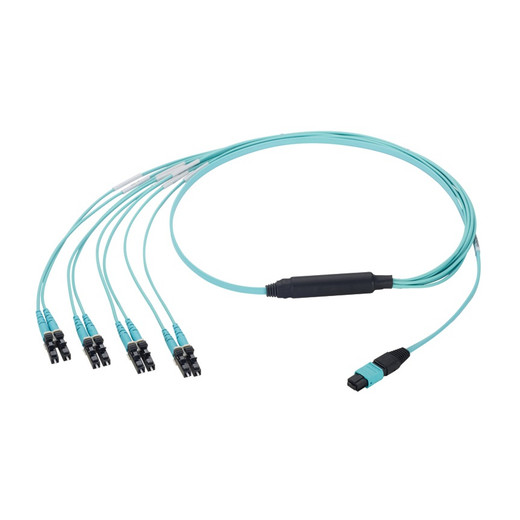 FZ8RP5NLSQNM003