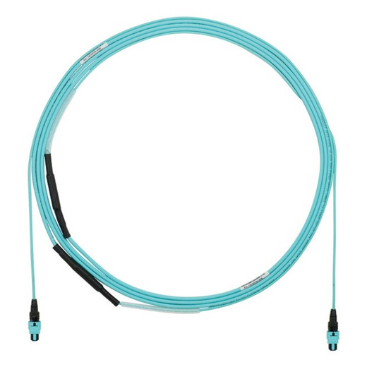 Panduit OM412-FI Indtrnk Fepob A 100FT PK1 - FYZTP77Y005F100