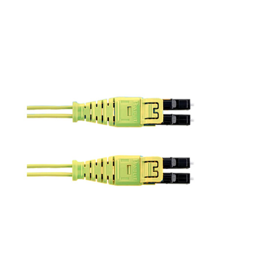 FW2ERQ1Q1SNM001
