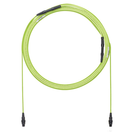 Panduit FWTYL7575LNM043 12-Fiber OM5 Trunk Cable 43m LSZH