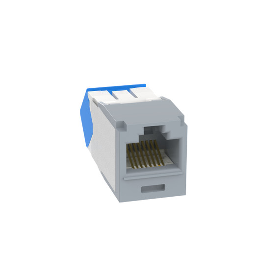 CJUD6X88TGIG