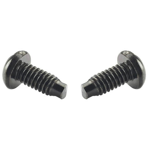 Panduit SCREWM6-C M6 Rack Mount Screws 100pk