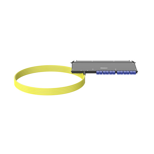 Panduit F9UYBXLNNSNM090 OS2 SM 24-FBR B2CA Front ACC Tetheea