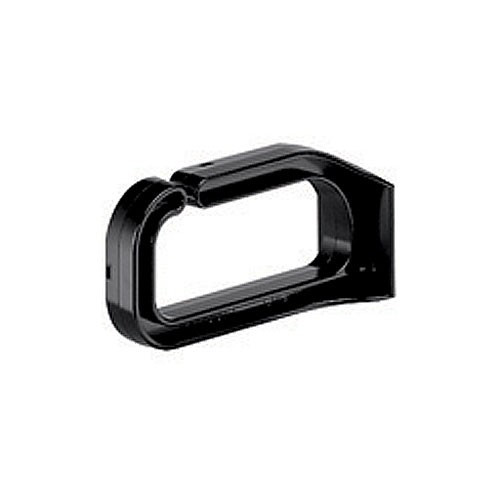Panduit 100 PER PK Horizontal D Ring
