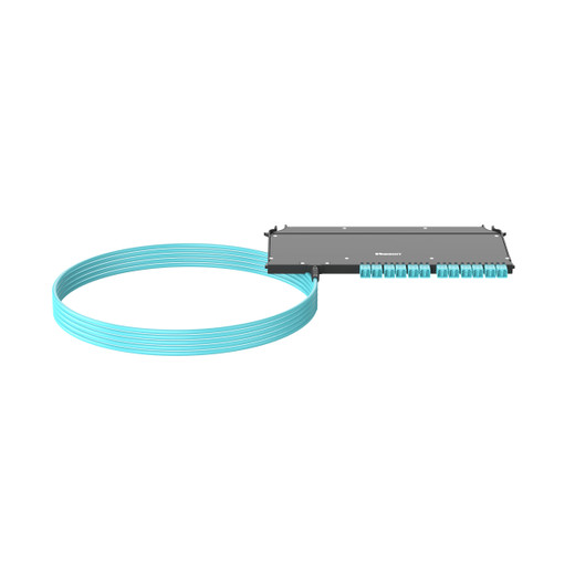 Panduit FZUYPXLNNNNF300 OM4 24-FBR PUM Front ACC Tetherea