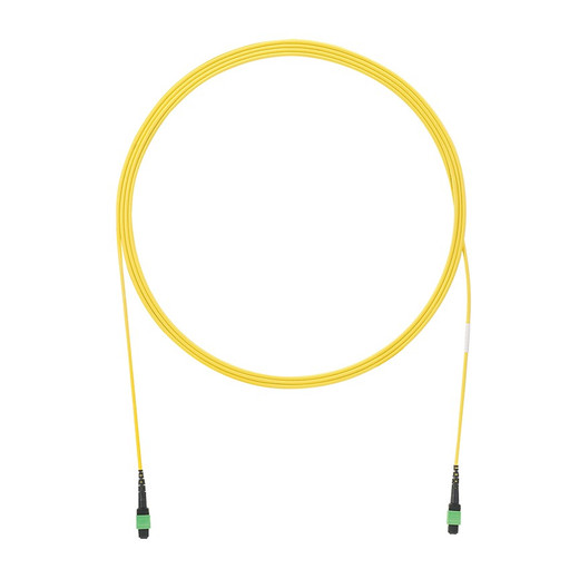 Panduit S12-FI P Fe-fe Polb SIL 3FT PK1