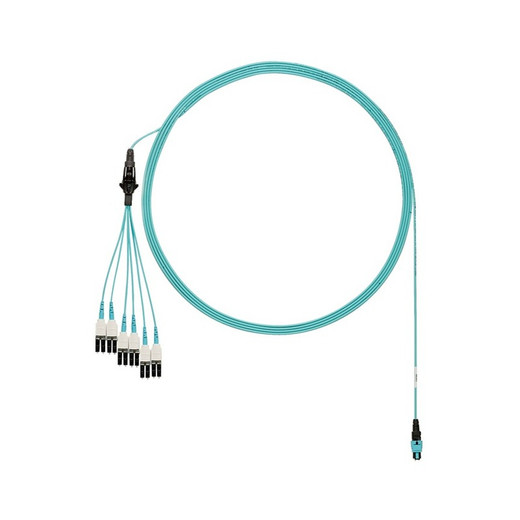 Panduit OM4 12FIBER Intercn FEM TO FEM 80 FT - FRZTP77X001F080