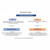 Flowchart for lift selection based on patient dependency: options for Stand Assist Lift or Full Body Lift with usage scenarios.