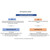A flowchart guiding the selection of patient lifts based on dependency levels: Stand Assist Lift for partial dependence, Full Body Lift for total dependence.