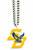 Scott’s Branch Mascot Hype Chain