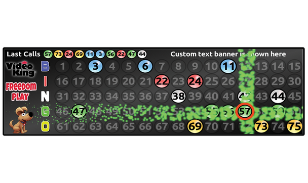 Freedom Play Digital Flashboard Display Stick