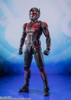 SU ORDINAZIONE Ant-Man and the Wasp: Quantumania S.H. Figuarts Action Figure Ant-Man 15 cm