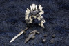 PREORDINE ESAURITO Hexa Gear Plastic Model Kit 1/24 Governor Armor Type: Pawn A1 Ver. 1.5 7 cm